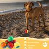 A golden dog stands on a beach with colorful squeaky chew balls.