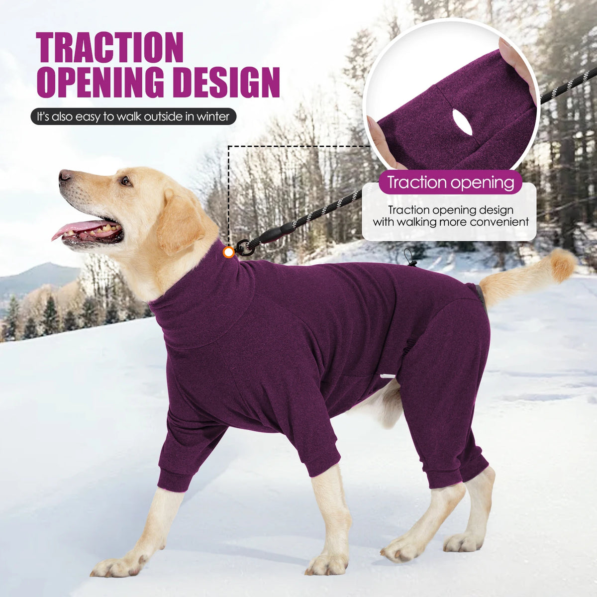 A golden retriever wearing a purple traction opening dog jumpsuit is walking in the snow.