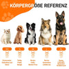 Graphique de référence montrant les tailles de chiens XS à XL avec des races comme le Pomeranian, le Husky et le Dachshund.