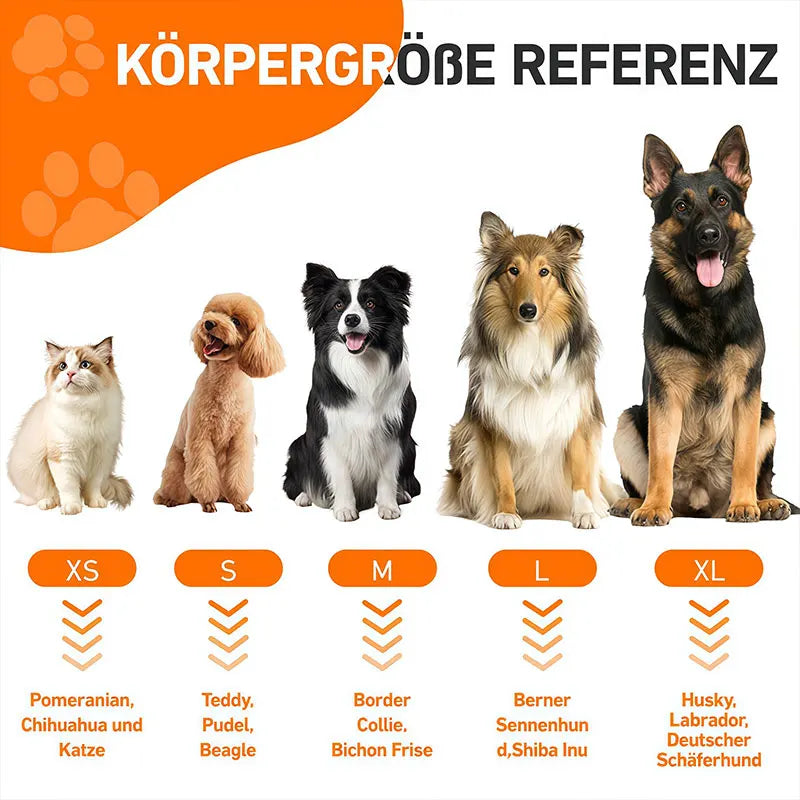 Graphique de référence montrant les tailles de chiens XS à XL avec des races comme le Pomeranian, le Husky et le Dachshund.