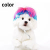Ein weißer, flauschiger Hund trägt eine leuchtend pinke und blaue Haartracht als Cosplay-Kopfbedeckung.