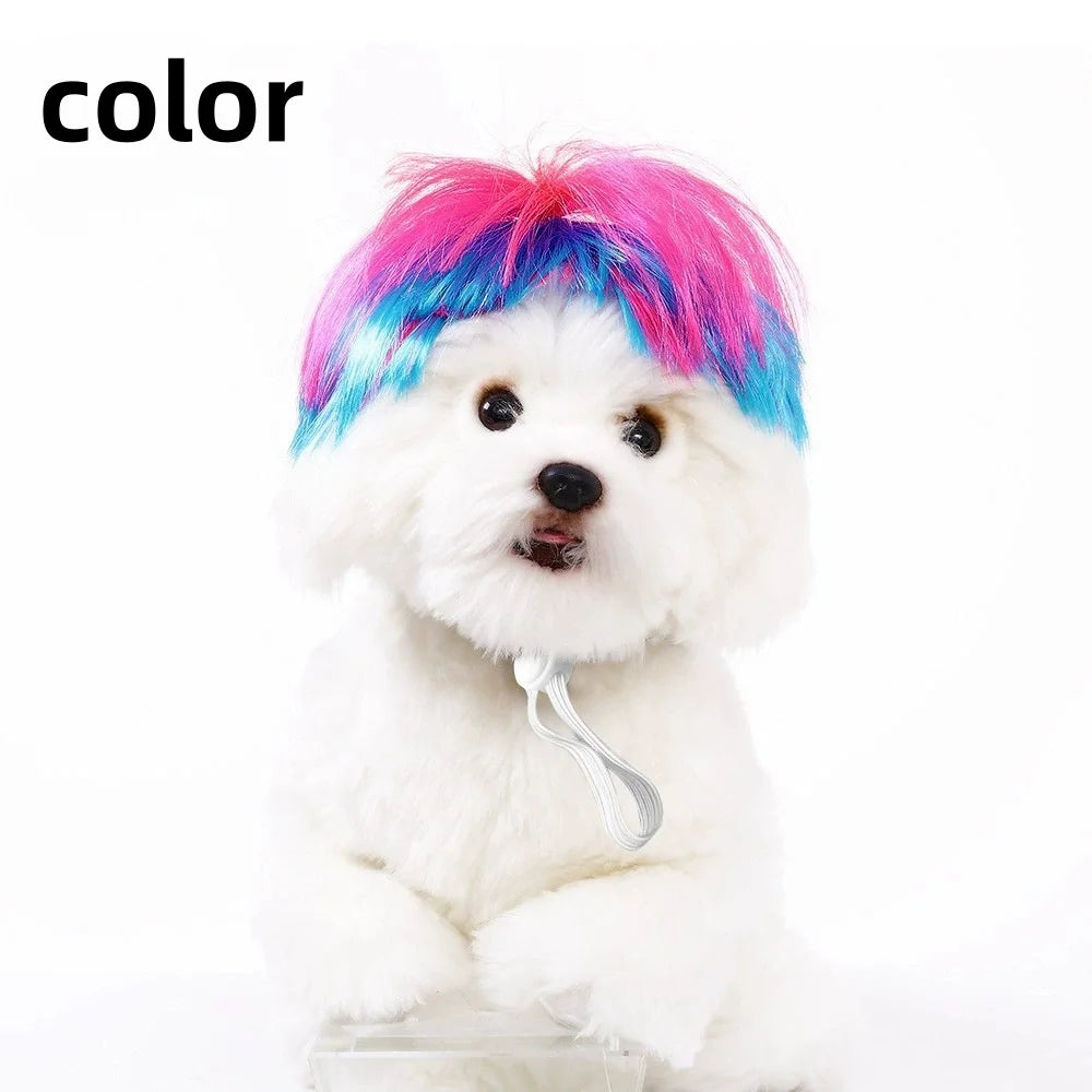 Ein weißer, flauschiger Hund trägt eine leuchtend pinke und blaue Haartracht als Cosplay-Kopfbedeckung.