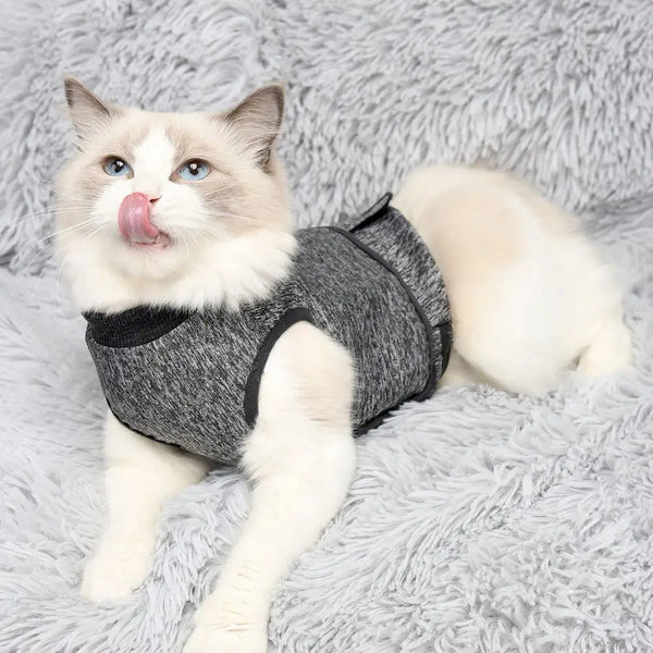 A fluffy white and gray cat wearing a soft gray anti-anxiety calming vest lies on a gray fuzzy surface.