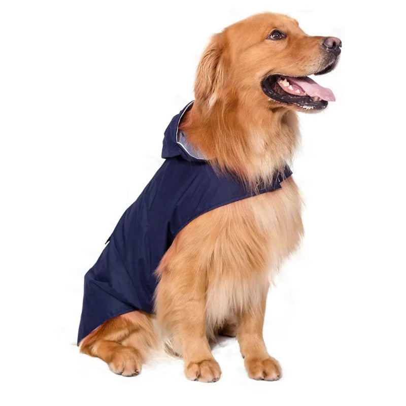 A golden retriever wearing a navy blue reflective waterproof dog raincoat.