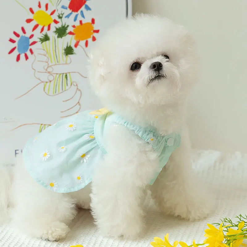 Un perro blanco esponjoso vistiendo un elegante vestido de malla azul claro con pequeñas flores amarillas.