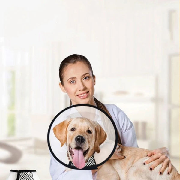 A woman holds a dog with a transparent protection sleeve designed for dogs and cats.
