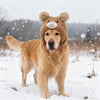 A golden retriever wearing a knitted brown hat with bear ears standing in the snow.