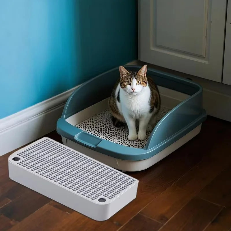 A cat is sitting inside a blue litter box ramp step with a mesh filter tray on a wooden floor.