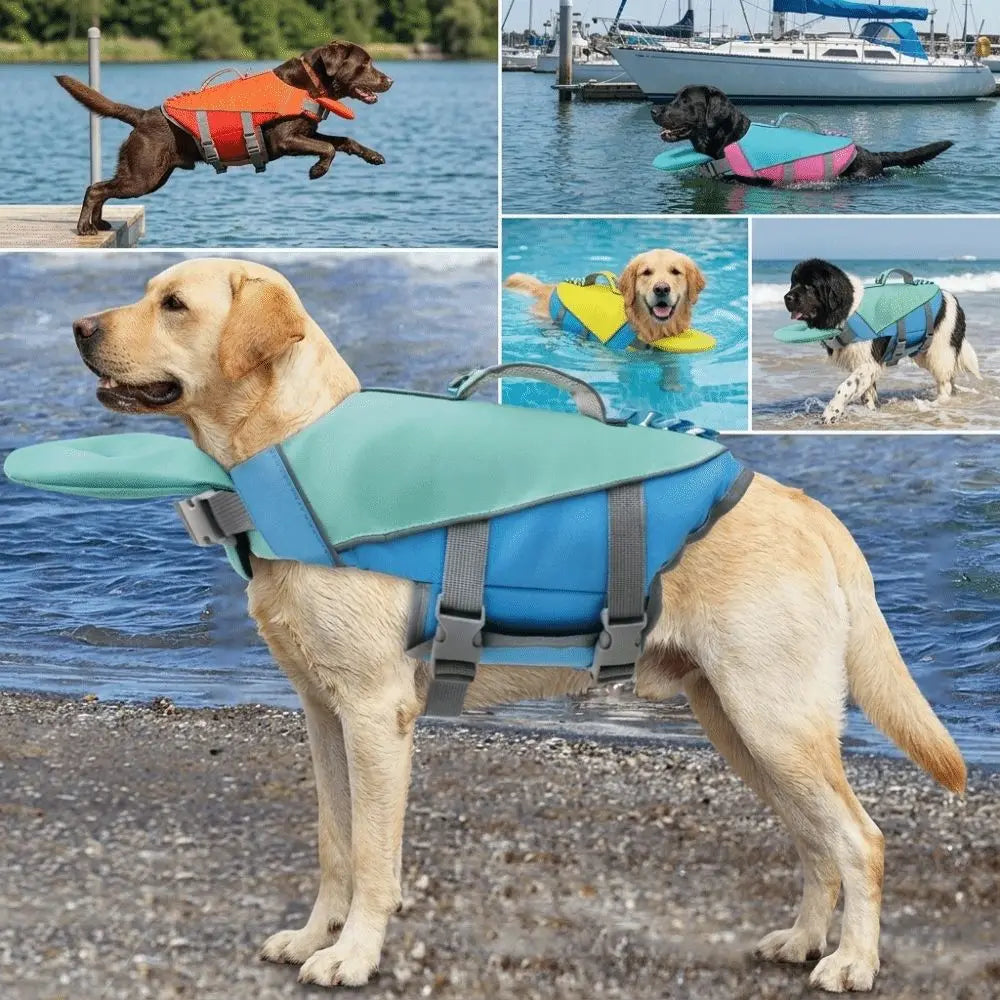 A golden retriever wearing a blue life jacket is standing on the shore, with other dogs in water sports contexts.
