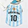 Maillot de football argentin pour chiens et chats avec des rayures verticales bleu clair et blanc et le numéro 10