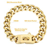 طوق كلب من الفولاذ المقاوم للصدأ 316L المطلي بالذهب مع حلقة D ومشبك.