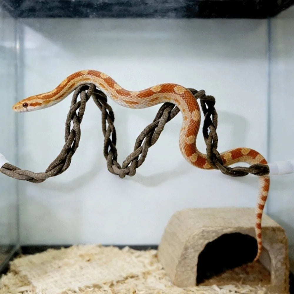 An orange and tan suction cup lizard hammock is draped over a natural wood block inside a glass enclosure.