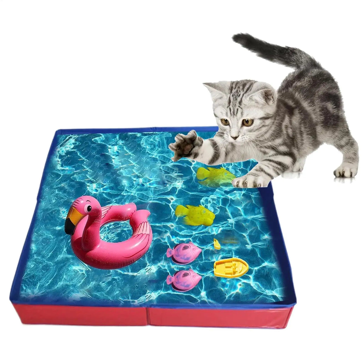 A tabby kitten is playing in a blue pet wading pool filled with water.