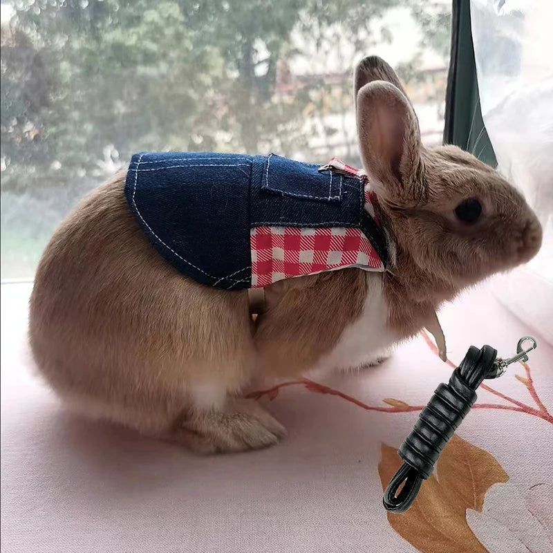 Ein braunes Kaninchen mit einem Jeans-Westen und einem rotkarierten Kragen sitzt auf einer weißen Oberfläche.