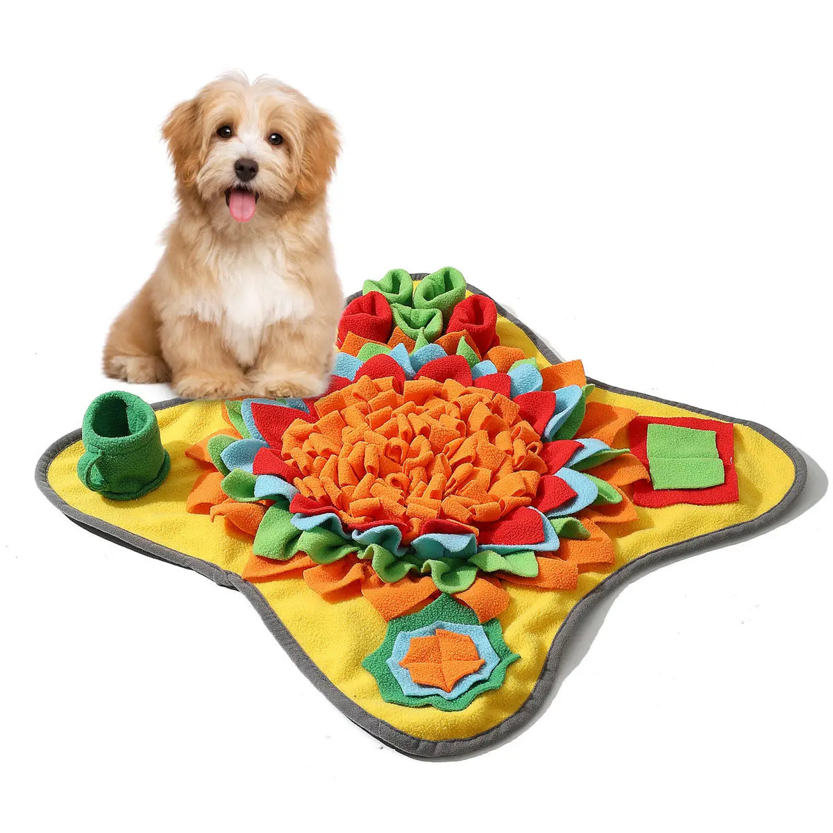 A golden retriever dog is looking down at a colorful, textured snuffle mat designed for slow feeding puzzles.