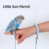 Un petit perroquet bleu portant un harnais de vol est tenu par une main.