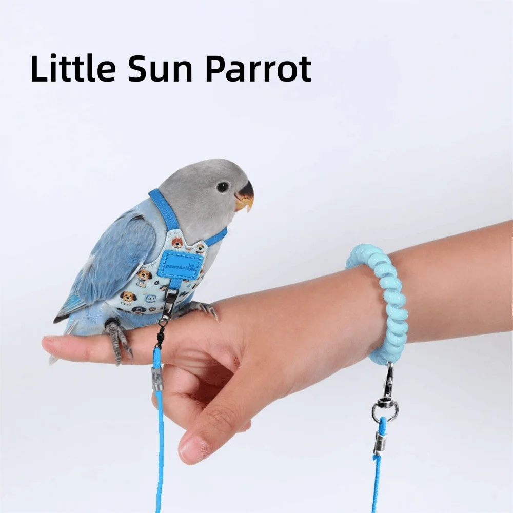 Un petit perroquet bleu portant un harnais de vol est tenu par une main.