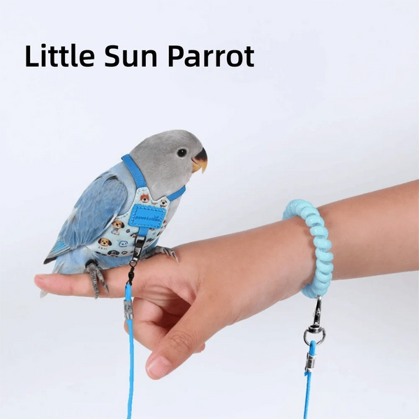 Un petit perroquet bleu portant un harnais de vol est tenu par une main.