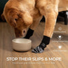 A golden dog is shown walking on a hardwood floor wearing non-slip socks to prevent slips.