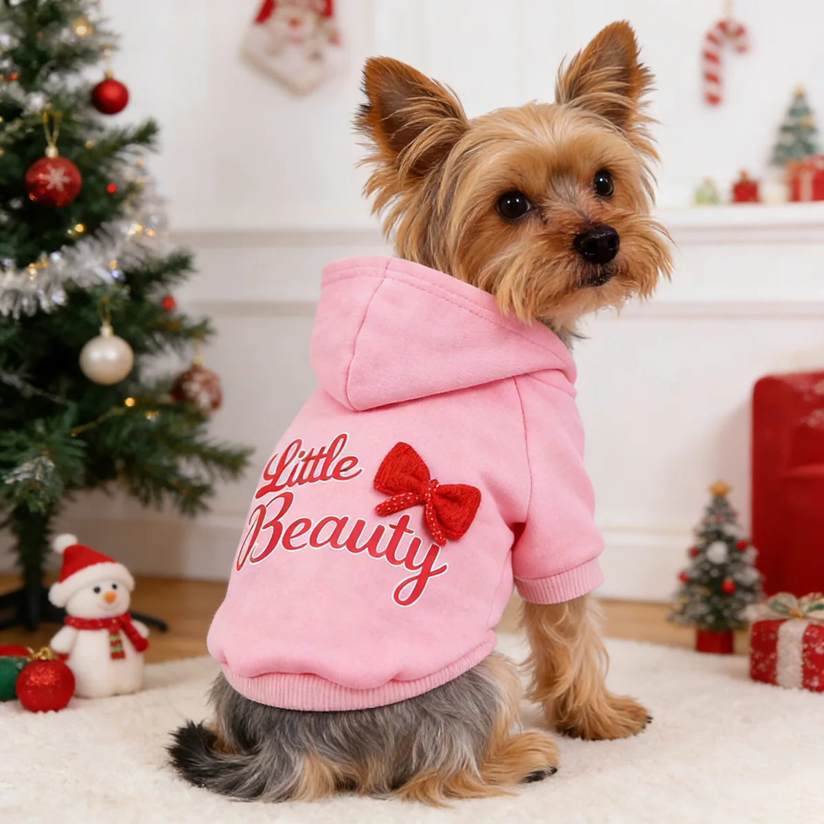 A small brown dog wearing a pink hoodie with 'Little Beauty' printed on it, sitting on a white rug.