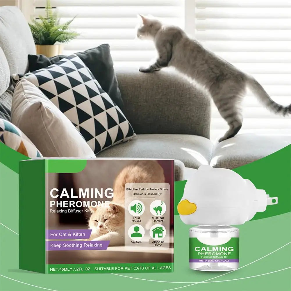 A cat is playing near a diffuser kit designed to reduce anxiety and soothe pets.