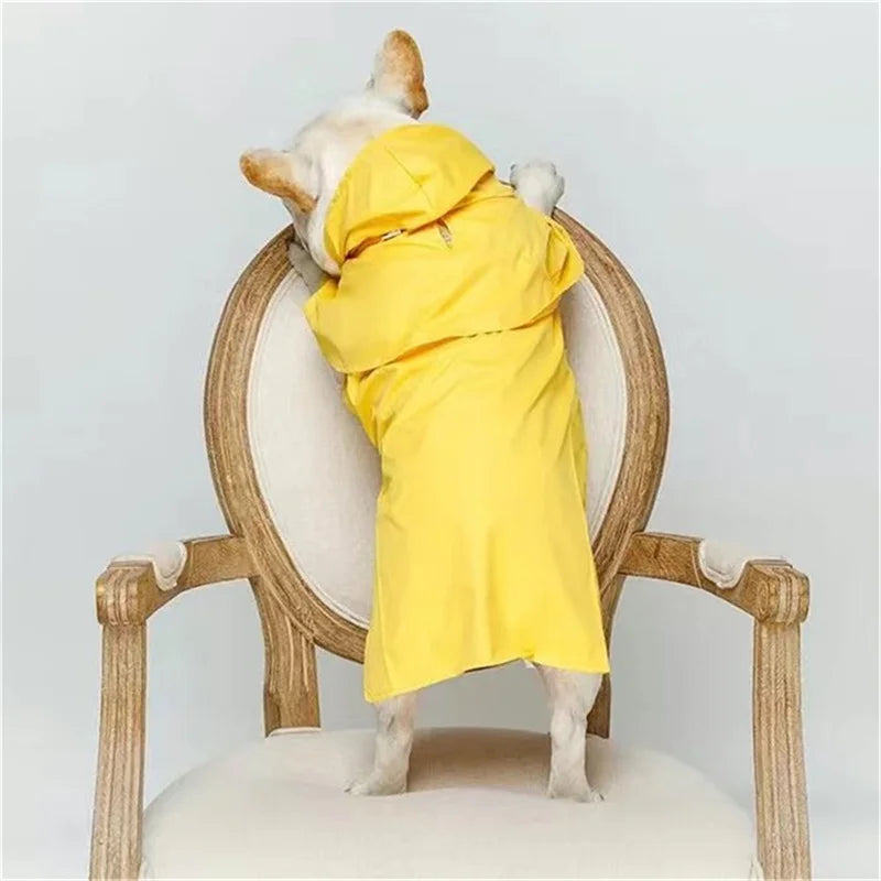 A dog wearing a yellow waterproof raincoat is standing on a wooden coat rack.