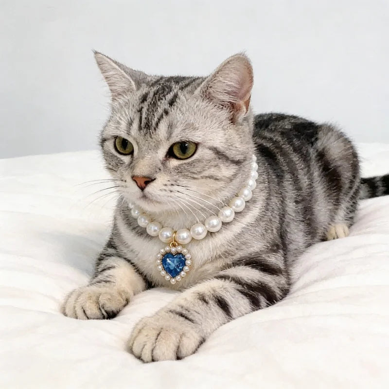 Ein tabby Kitten mit verstellbarem Perlkragen liegt auf weißem Stoff.