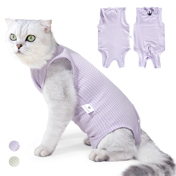 A fluffy gray and white cat wearing a lavender veterinary recovery suit for cats.