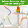 Colorful bird rope perch stand with various colored ropes hanging in an aviary setting.