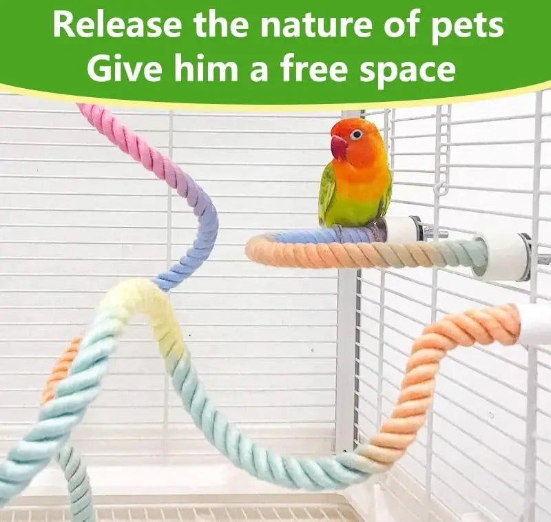 Colorful bird rope perch stand with various colored ropes hanging in an aviary setting.