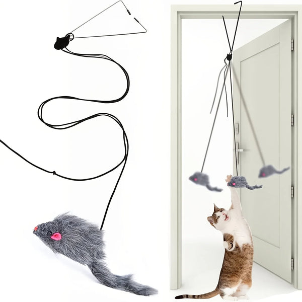 A cat toy featuring a mouse that hangs from a string and is used to tease or interact with a cat.