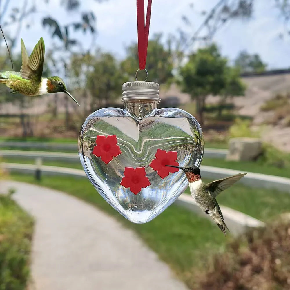 Un distributeur en verre en forme de cœur suspendu, avec un colibri se nourrissant sur les fleurs rouges à l'intérieur.