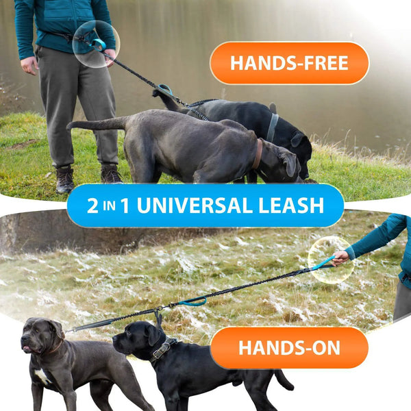 A double leash system is shown, demonstrating both hands-free and hands-on control for two dogs.