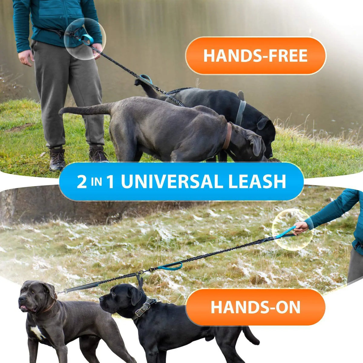 A double leash system is shown, demonstrating both hands-free and hands-on control for two dogs.