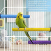 A yellow parrot is perched on a blue wooden perch inside a wire cage, demonstrating a grinding tip for claw maintenance.