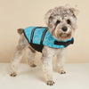 Un petit chien duveteux portant un gilet de sauvetage bleu vif et réfléchissant pour la baignade et la sécurité.