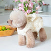 Un perro de color marrón claro y esponjoso, vistiendo un vestido floral blanco, junto a un jarrón de flores rosas.