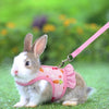 A small gray and white rabbit wearing a pink mesh harness with a leash in a green outdoor setting.