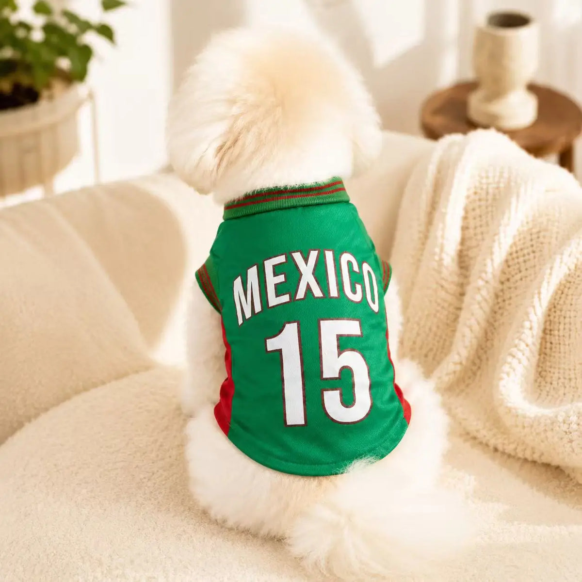 A fluffy white dog wearing a green soccer jersey with the word MEXICO and the number 15.