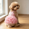 A light brown poodle wearing a pink suspender dog tutu dress sitting on a wooden floor.