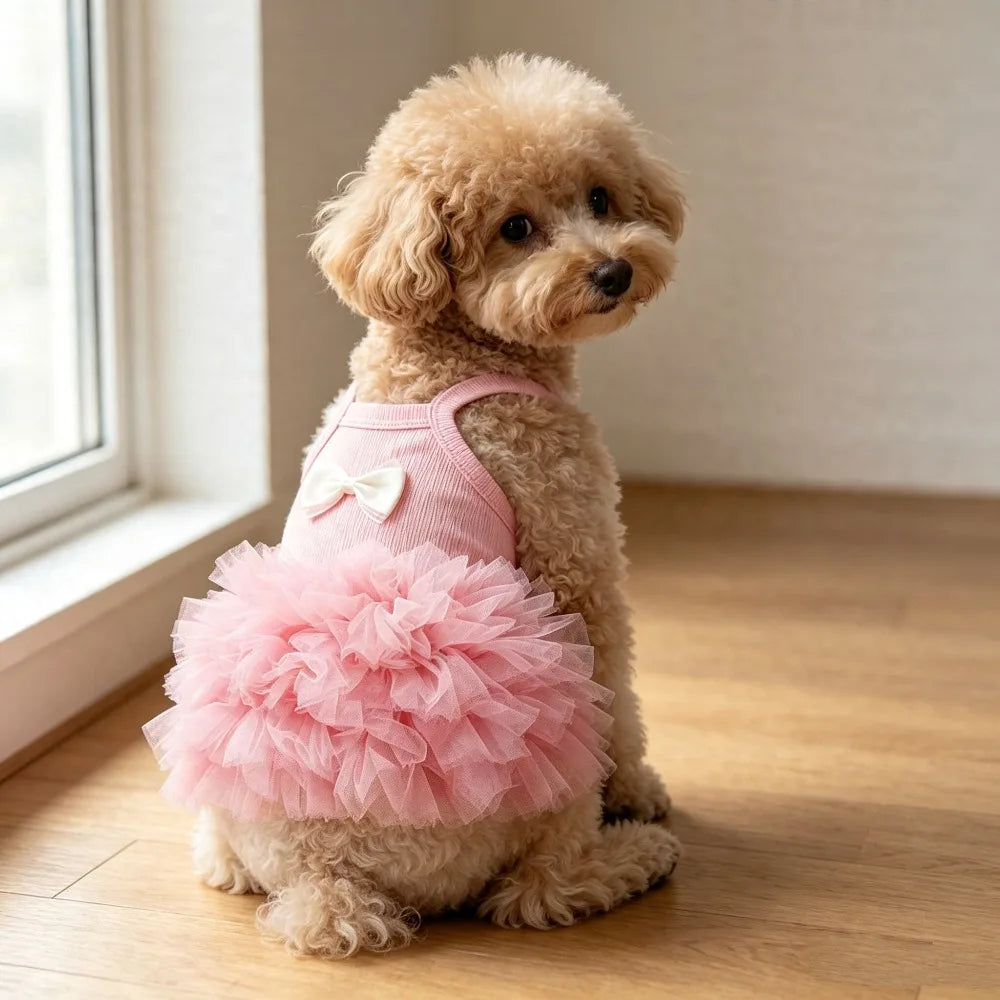 A light brown poodle wearing a pink suspender dog tutu dress sitting on a wooden floor.