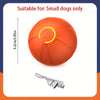 Orange, automatische interaktive Hundeball mit gelbem Leuchtindikator und kleinem Zubehör.