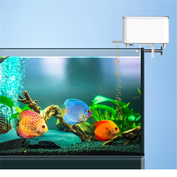 Un distributeur automatique de nourriture pour animaux sur WiFi, qui dispense de la nourriture dans un aquarium avec des pois