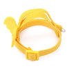 Yellow parrot bird harness and leash set for safe handling