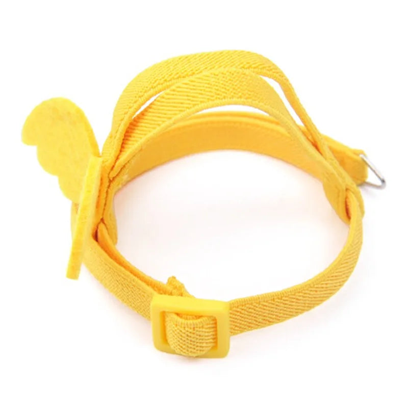 Yellow parrot bird harness and leash set for safe handling