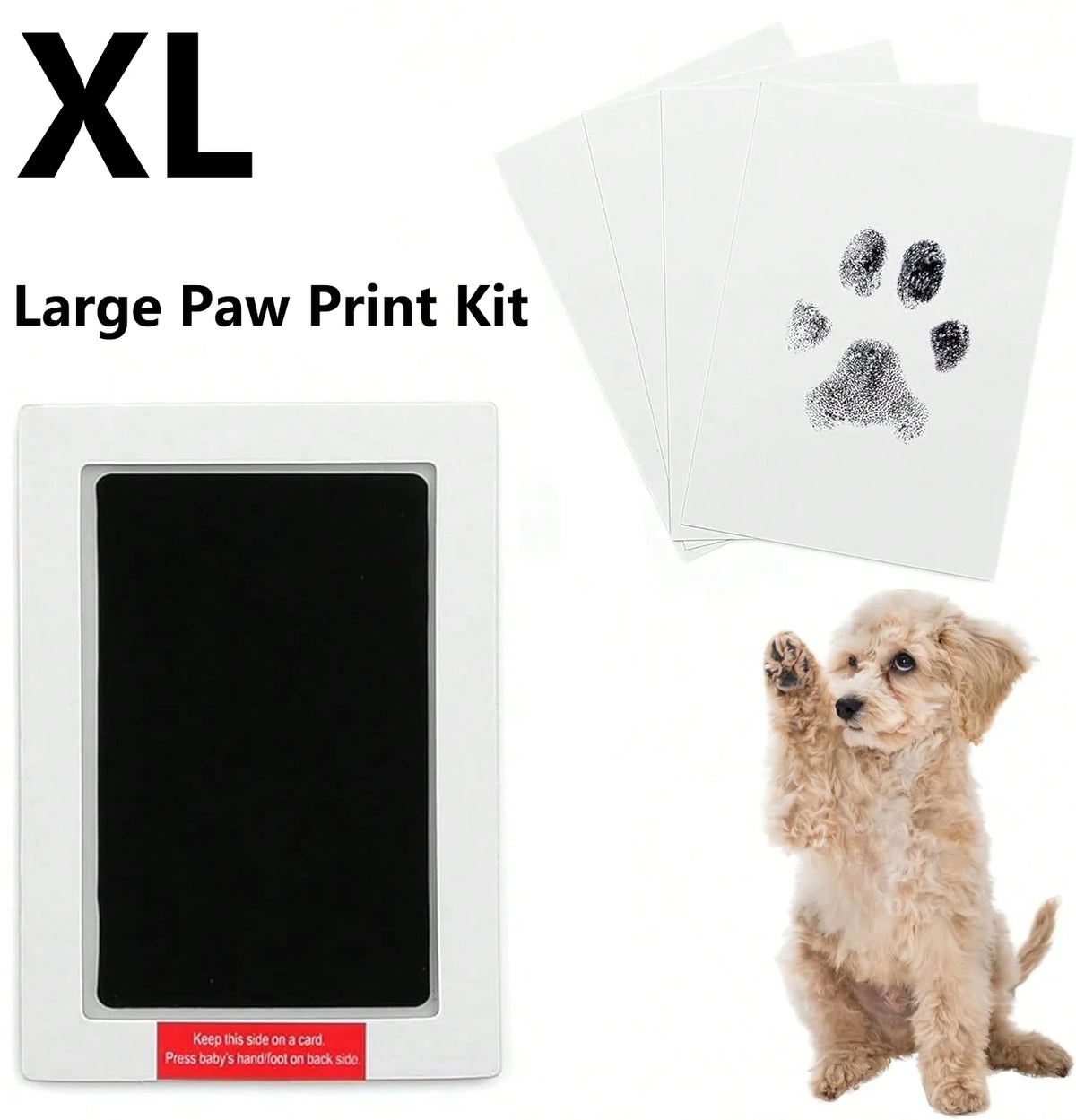 Large paw print kit for pets shown with a white box and several blank cards.