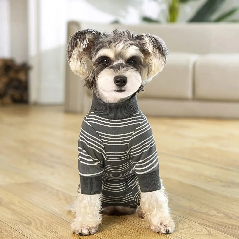 A small dog wearing a gray and white striped jumpsuit standing indoors on a wooden floor.