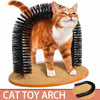 Orange und weißes Kätzchen steht in einem schwarzen borstenartigen Bogenspielzeug zur Katzenpflege.