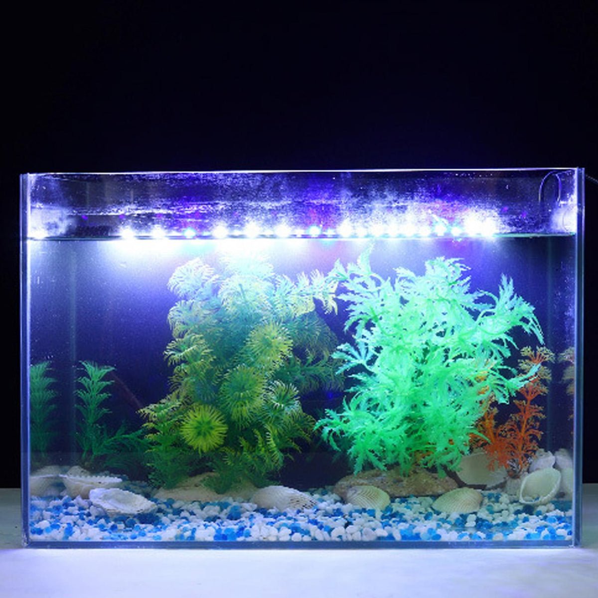 A glass aquarium tank illuminated by a bright blue LED light, featuring green aquatic plants and gravel.