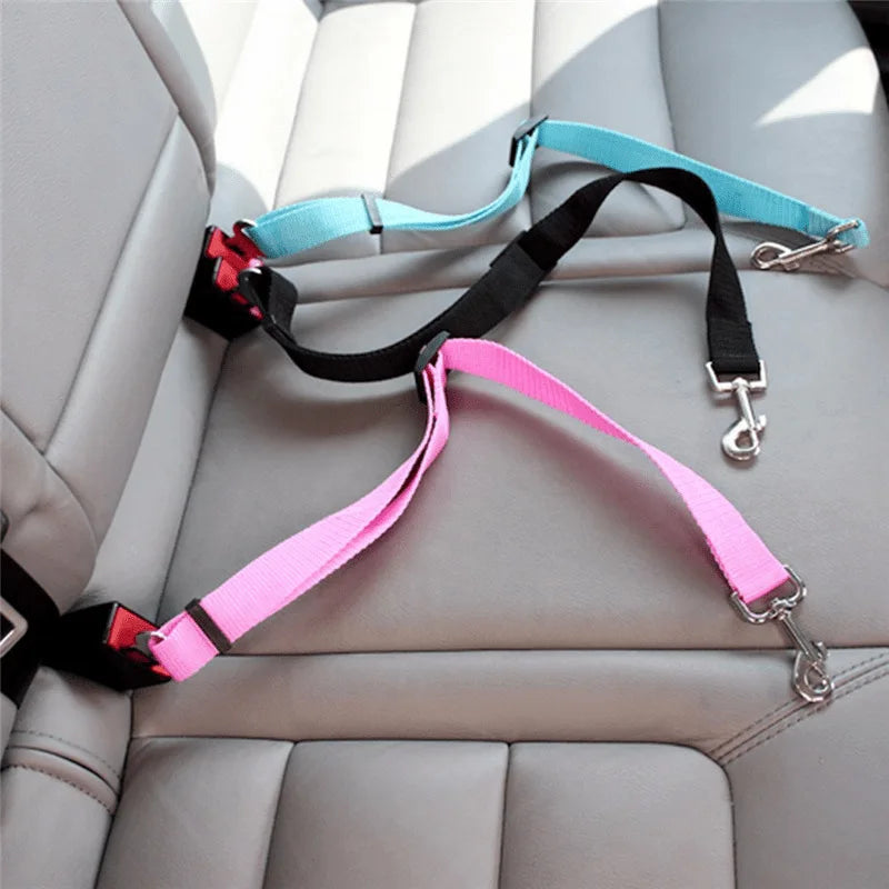Colorful retractable dog car seatbelt tethers in black, blue, and pink attached to a car seat.